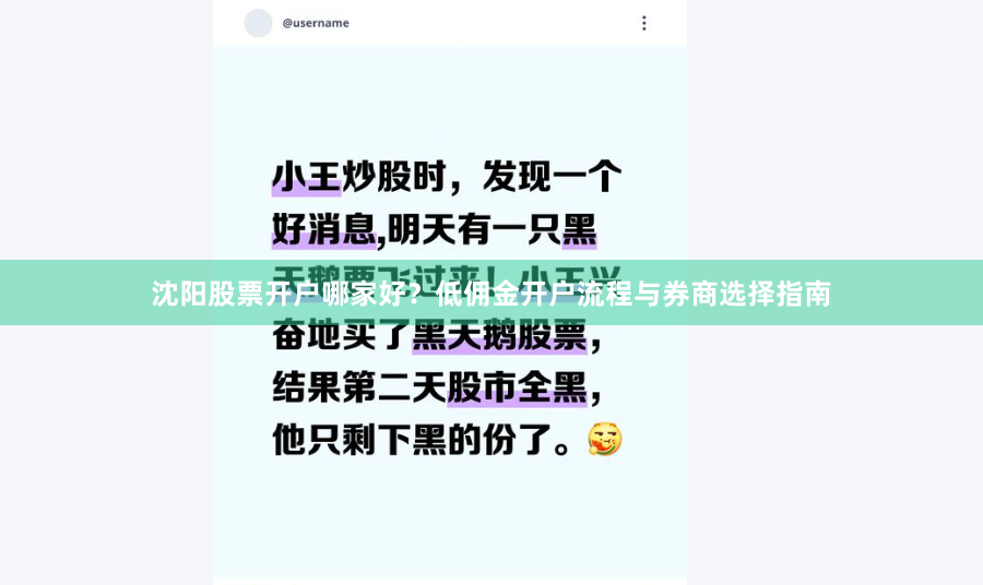 沈阳股票开户哪家好?低佣金开户流程与券商选择指南