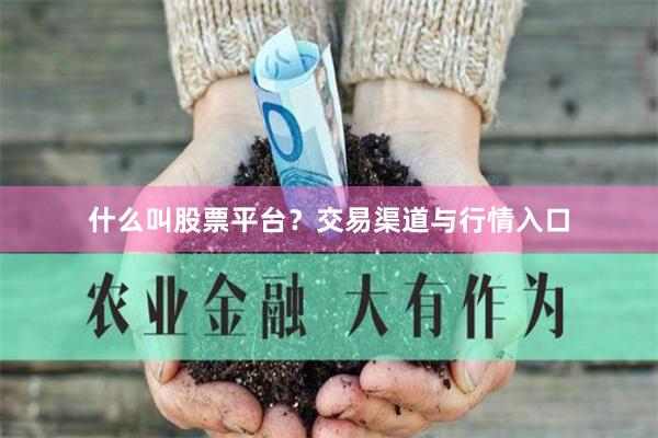 什么叫股票平台?交易渠道与行情入口